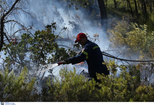 Χωρίς ενεργό μέτωπο η πυρκαγιά στη Νέα Μάκρη - Υπό μερικό έλεγχο αυτή στο ρέμα Κοκκιναρά