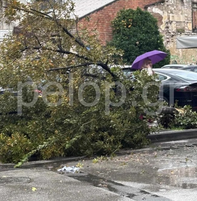 ΑΝΕΜΟΘΥΕΛΛΑ ΠΑΤΡΑ