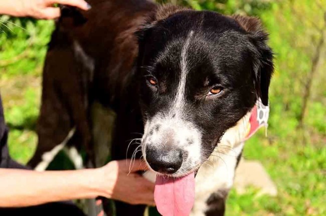 Ο Πάρης ζητά να μην τον γυρίσουν πίσω ξανά - Δώστε του άλλη μια ευκαιρία