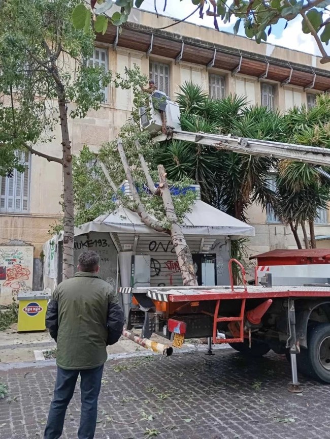 ΔΕΝΤΡΟ ΠΕΡΙΠΤΕΡΟ