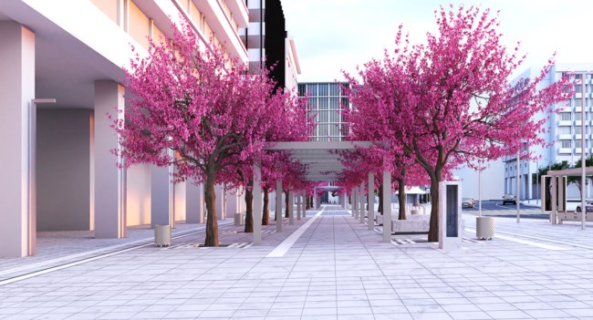 Πλατεία Συντάγματος Ανάπλαση