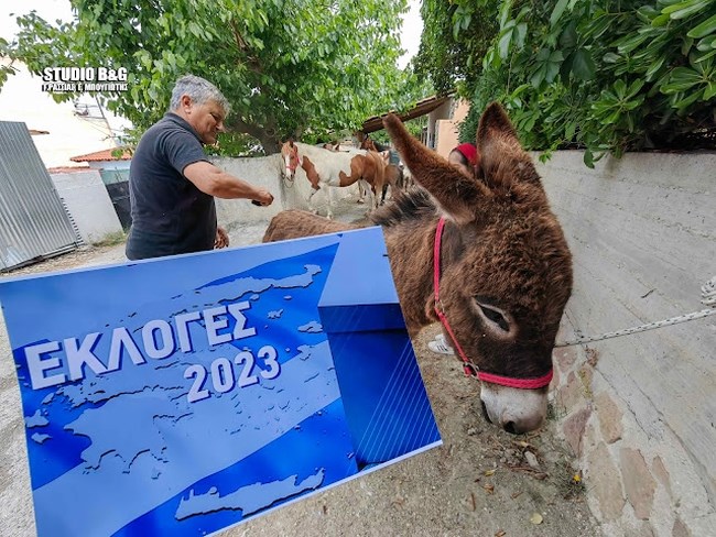 ΓΑΙΔΟΥΡΙ