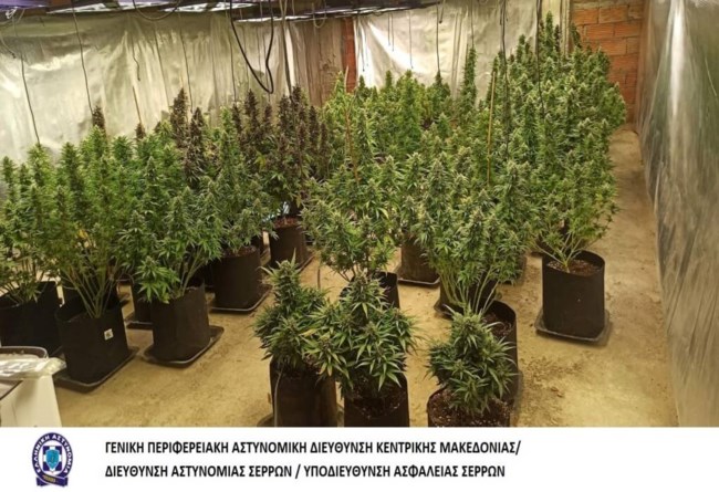 θεσσαλονικη κανναβη