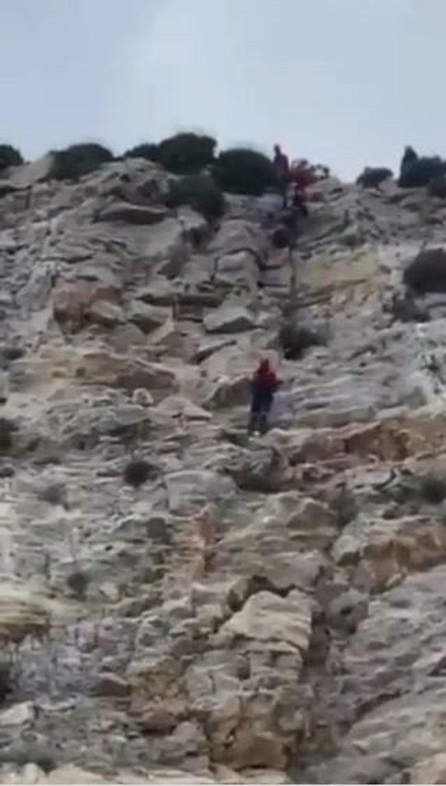 ΣΚΥΛΟΣ ΠΥΡΟΣΒΕΣΤΙΚΗ