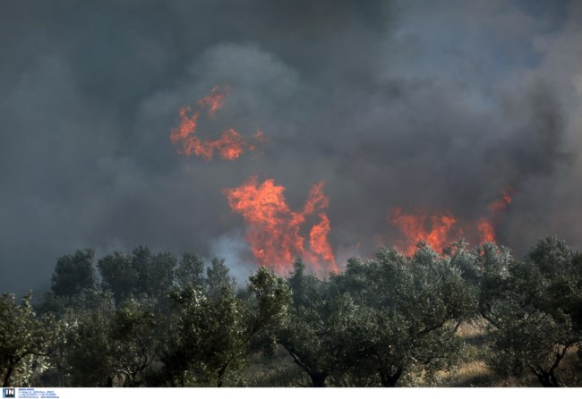 Φωτιά - Δήμος Σαρωνικού