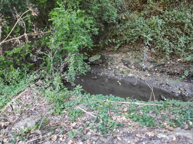 Νέα καταγγελία στην Κρήτη: "Ο σκύλος μου πέθανε από μολυσμένα νερά" σε ρυάκι