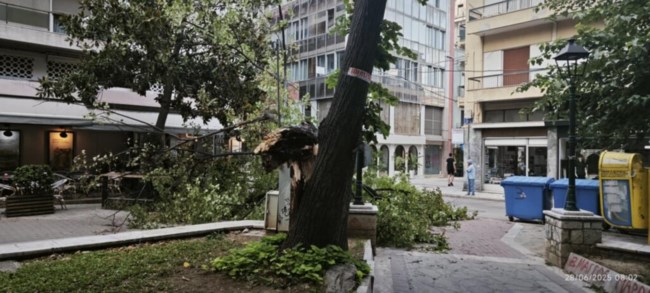 Τα μπουρίνια σάρωσαν περιοχές σε Βόρεια και Κεντρική Ελλάδα: Πτώσεις δέντρων, ζημιές σε ΙΧ [εικόνες - βίντεο]