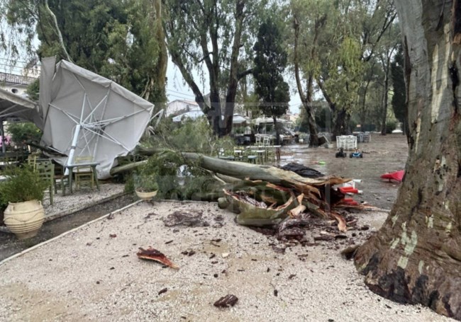 Δυνατό μπουρίνι χτύπησε την Κέρκυρα: Επεσαν δένδρα, προβλήματα στην ηλεκτροδότηση και στο αεροδρόμιο