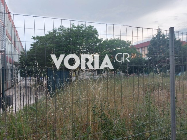 Θεσσαλονίκη: Σε κρίσιμη κατάσταση η 39χρονη ερπετολόγος που τη δάγκωσε οχιά - Υπέστη αναφυλακτικό σοκ