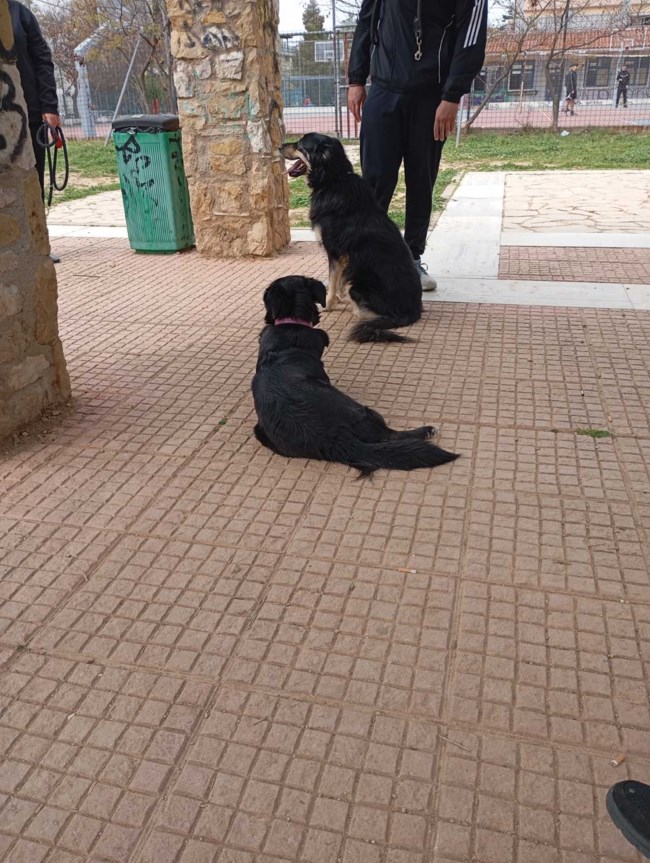 μπενζαμιν