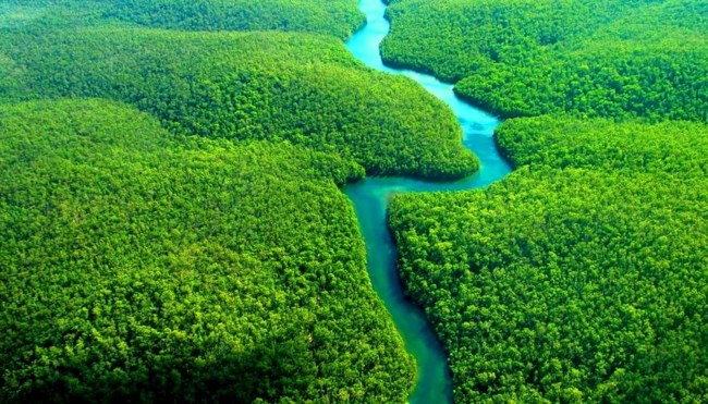 Γ. Καρακατσάνης (EVOTROPIA): Πλέον ο πλούτος της φύσης "ξεκλειδώνεται" - Τι είναι η αναγεννητική γεωργία