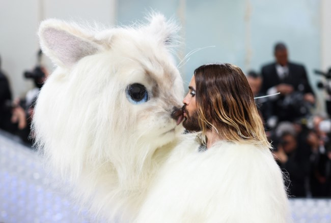Met Gala 2023: Φτερά, πούπουλα και... γάτες στο πιο exclusive πάρτι της Νέας Υόρκης