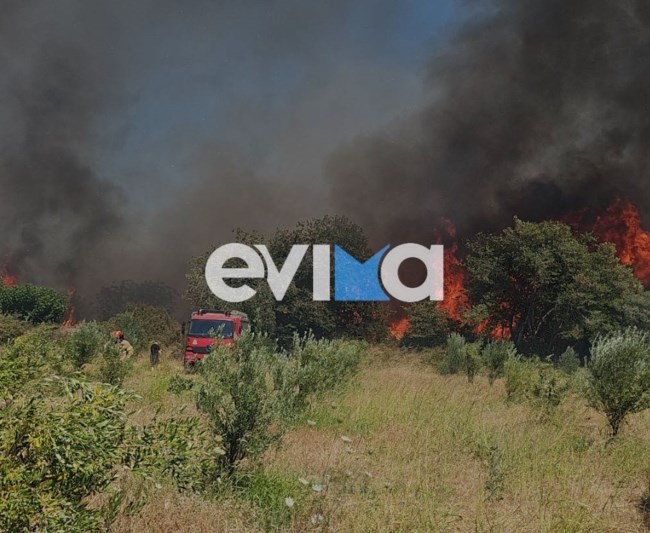 Φωτιά στην Εύβοια:  Συνελήφθη 59χρονος που εκτελούσε εργασίες - Κάηκε επιχείρηση, σοβαρές ζημιές σε αυλές σπιτιών