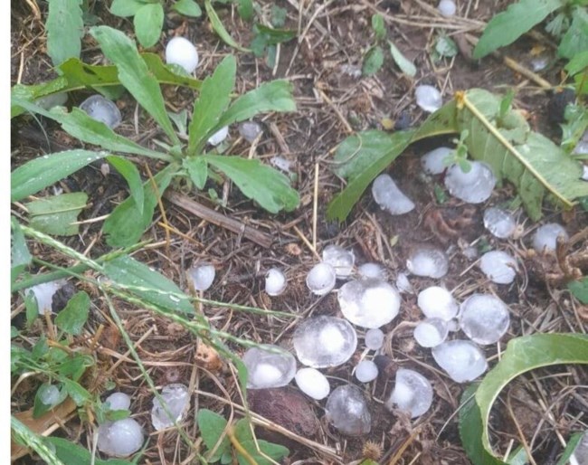 ΧΑΛΑΖΙ ΣΕΡΡΕΣ