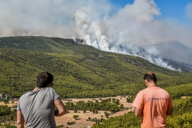 Φωτιά στα Βίλια: Εχουν καεί πάνω από 80.000 στρέμματα - Ανησυχία για το δάσος σε Παλαιοχώρι και Οινόη