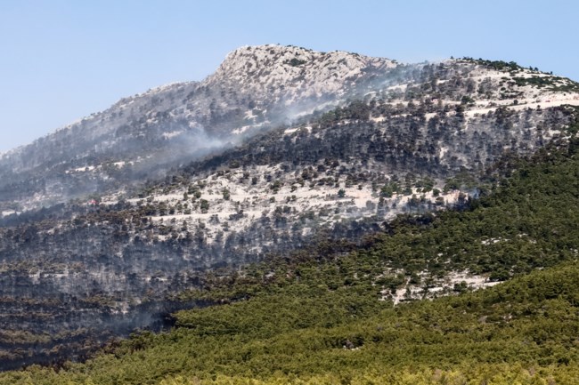 Ανάλυση: Πώς εξηγείται το "φιάσκο" σε Πάρνηθα και Εβρο - Η διασπορά δυνάμεων, τα ακραία φαινόμενα και τα καθηλωμένα Canadair