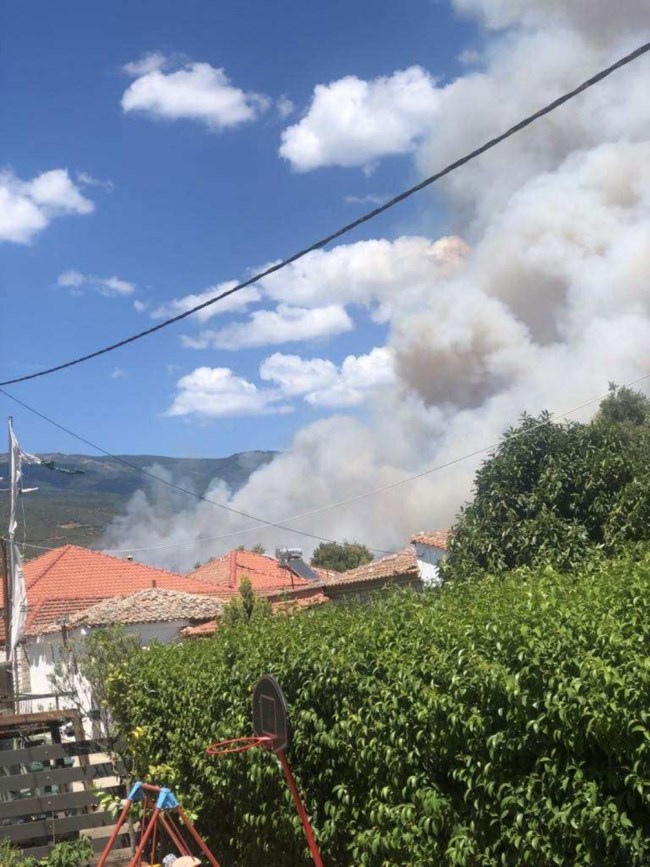 Φωτιά στην Αγιά Λάρισας: Ήχησε το "112" - Σηκώθηκαν έξι εναέρια μέσα