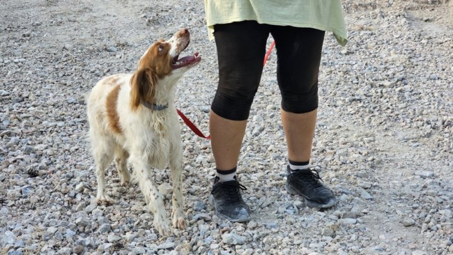 Η Όλγα είναι μια χίπισσα: Ολοι είναι καλοί, όλοι είμαστε φίλοι, όλοι αγαπιόμαστε - Είναι πάντα με το χαμόγελο