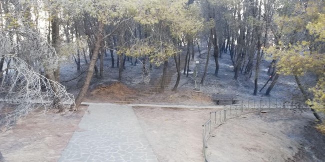 Μυκηναϊκό νεκροταφείο στις Πόρτες Αχαΐας: Τι απαντά το ΥΠΠΟΑ για την πυρκαγιά της 3ης Ιουλίου