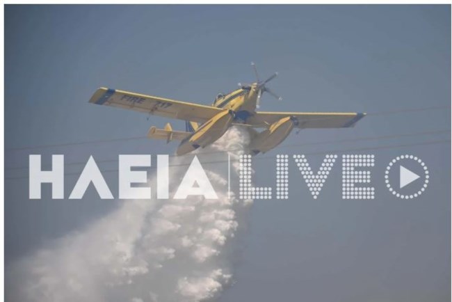 HLEIA