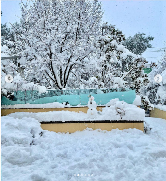 Ελένη Μενεγάκη