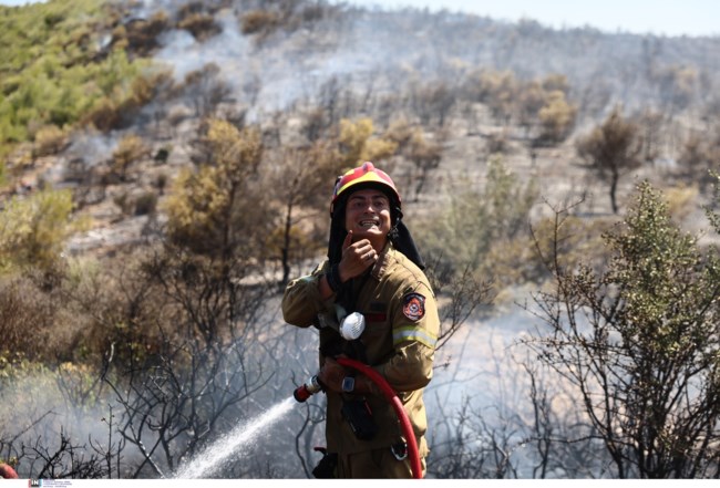 ΦΩΤΙΑ ΓΡΑΜΜΑΤΙΚΟ