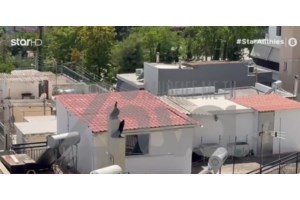 Ανατριχιαστική μαρτυρία γειτόνισσας για το Περιστέρι: "Παιδιά 8 - 9 ετών φορούσαν πάνες στο σχολείο"