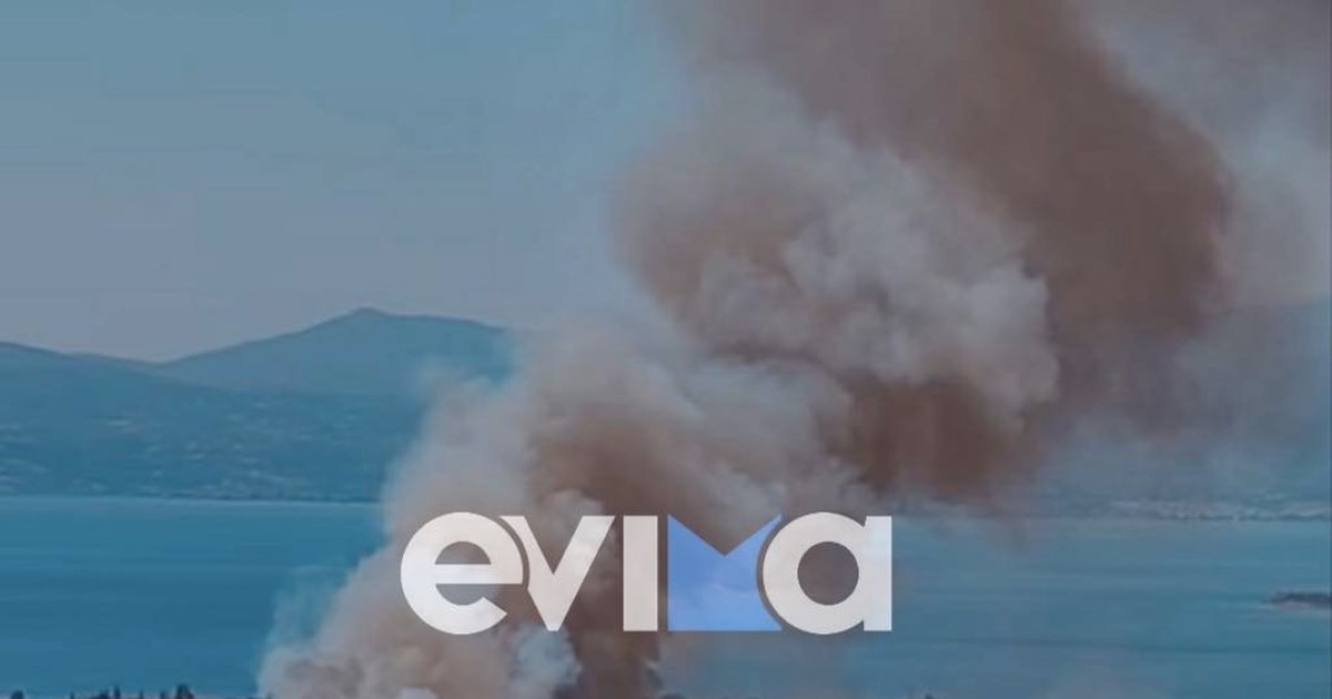 Φωτιά στη Νάξο: Φούντωσε η πυρκαγιά στον Κινίδαρο - Επιχειρούν ισχυρές δυνάμεις της Πυροσβεστικής - εικόνα 2