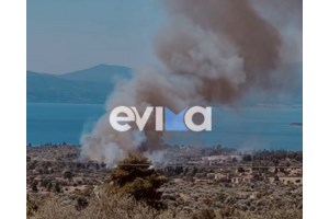 Φωτιά στη Νάξο: Φούντωσε η πυρκαγιά στον Κινίδαρο - Επιχειρούν ισχυρές δυνάμεις της Πυροσβεστικής - εικόνα 2