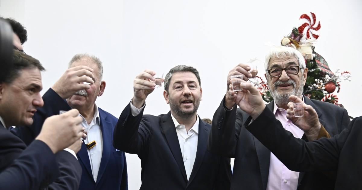 Το πρωτοχρονιάτικο μήνυμα του Νίκου Ανδρουλάκη: Να είναι μια καλύτερη χρονιά, με λιγότερη μοναξιά αλλά περισσότερη αγάπη