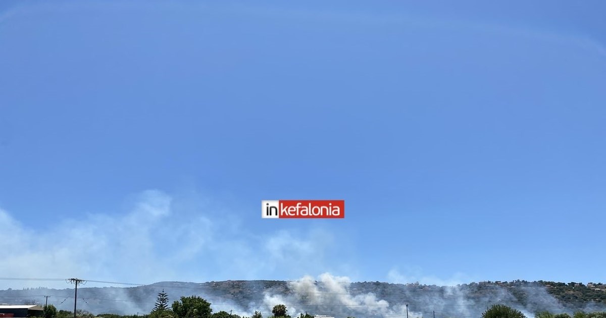 Ανεξέλεγκτη η φωτιά στο Ασπροχώρι Ωρωπού: Κοντά σε σπίτια οι φλόγες - Μήνυμα 112 και κυκλοφοριακές ρυθμίσεις [βίντεο] - εικόνα 6