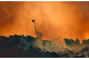 Καβάλα: Πυρκαγιά ξέσπασε στον Δήμο Νέστου - Συμμετέχει ένα εναέριο