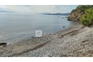 Ισθμός: Γυναίκα αποπειράθηκε να αυτοκτονήσει – Την πρόλαβαν οι αστυνομικοί την ώρα που έγραφε το σημείωμα