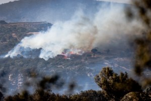Ρέθυμνο: Ανεξέλεγκτη η φωτιά - Οι φλόγες μπήκαν στο φοινικόδασος στην Πρέβελη - Ζητούνται ενισχύσεις από την Αθήνα - εικόνα 3
