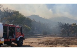 Φωτιά στη Σαλαμίνα: Πώς έχασαν τη ζωή τους οι δύο άνθρωποι - Η καταγγελία για ακαθάριστο οικόπεδο - εικόνα 6