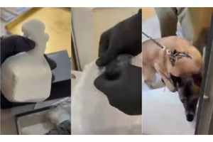 "Φτιάξε ένα καλό, το χθεσινό ήταν πικρό": Αποκαλυπτικοί διάλογοι της τραγουδίστριας με τον αρχηγό του κυκλώματος ναρκωτικών - εικόνα 4