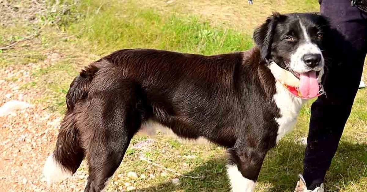 Πάρης ο μεγαλόκαρδος: Θα είστε μαζί του συνεχώς στο φως, όπως με τους καλόκαρδους ανθρώπους...