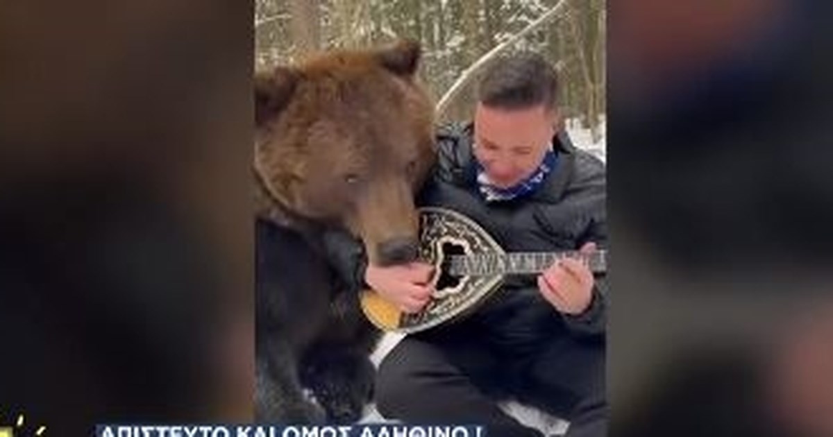 Τρίκαλα: Αρκούδα έκανε βόλτες μέσα στην πόλη αναστατώνοντας τους κατοίκους [εικόνες] - εικόνα 3