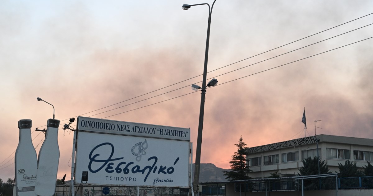 Στα καμένα της Μαγνησίας κλιμάκιο του ΠΑΣΟΚ: Άμεσα να αποζημιωθούν όλοι όσοι επλήγησαν από τη φωτιά