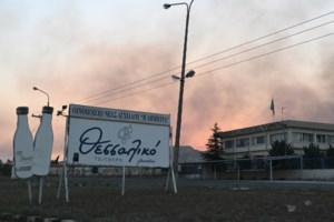 Στα καμένα της Μαγνησίας κλιμάκιο του ΠΑΣΟΚ: Άμεσα να αποζημιωθούν όλοι όσοι επλήγησαν από τη φωτιά