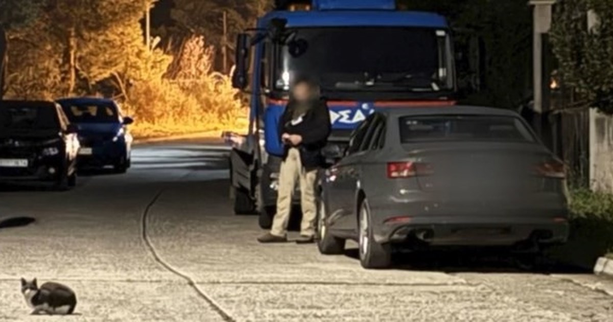 Νέα Μάκρη: Οι τρεις "Ντάλτονς" του Τούρκου αρχιμαφιόζου Μπογιούν πίσω από τους πυροβολισμούς