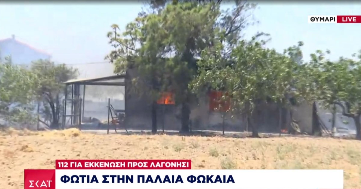 Φωτιά στην Παλαιά Φώκαια: Τι καιρό θα κάνει τις επόμενες κρίσιμες ώρες - Η πρόγνωση για τα μποφόρ [βίντεο] - εικόνα 4