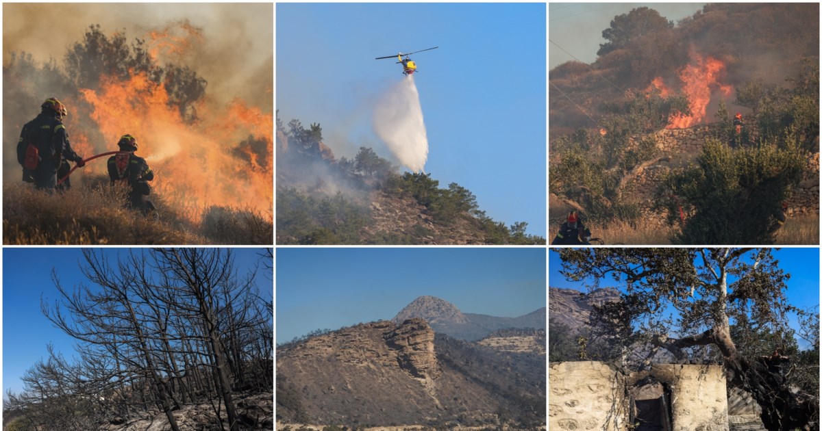 Μεγάλη φωτιά στη Ραφήνα: Ξεφεύγουν οι φλόγες, πληροφορίες για ζημιές σε σπίτια - "Δύσκολη και επικίνδυνη" - εικόνα 7