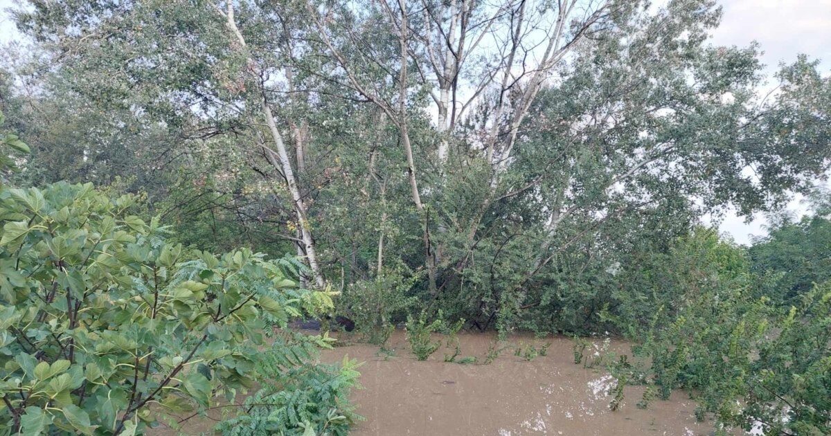 Δυσκολες ώρες στη Λάρισα: Εκκενώθηκαν Γιάννουλη και Άγιος Θωμάς  - Μήνυμα από το 112, ανεβαίνει επικίνδυνα ο Πηνειός - εικόνα 4