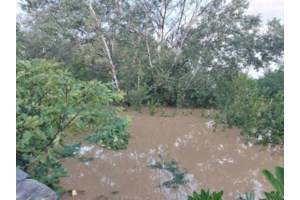 Δυσκολες ώρες στη Λάρισα: Εκκενώθηκαν Γιάννουλη και Άγιος Θωμάς - Μήνυμα από το 112, ανεβαίνει επικίνδυνα ο Πηνειός - εικόνα 4