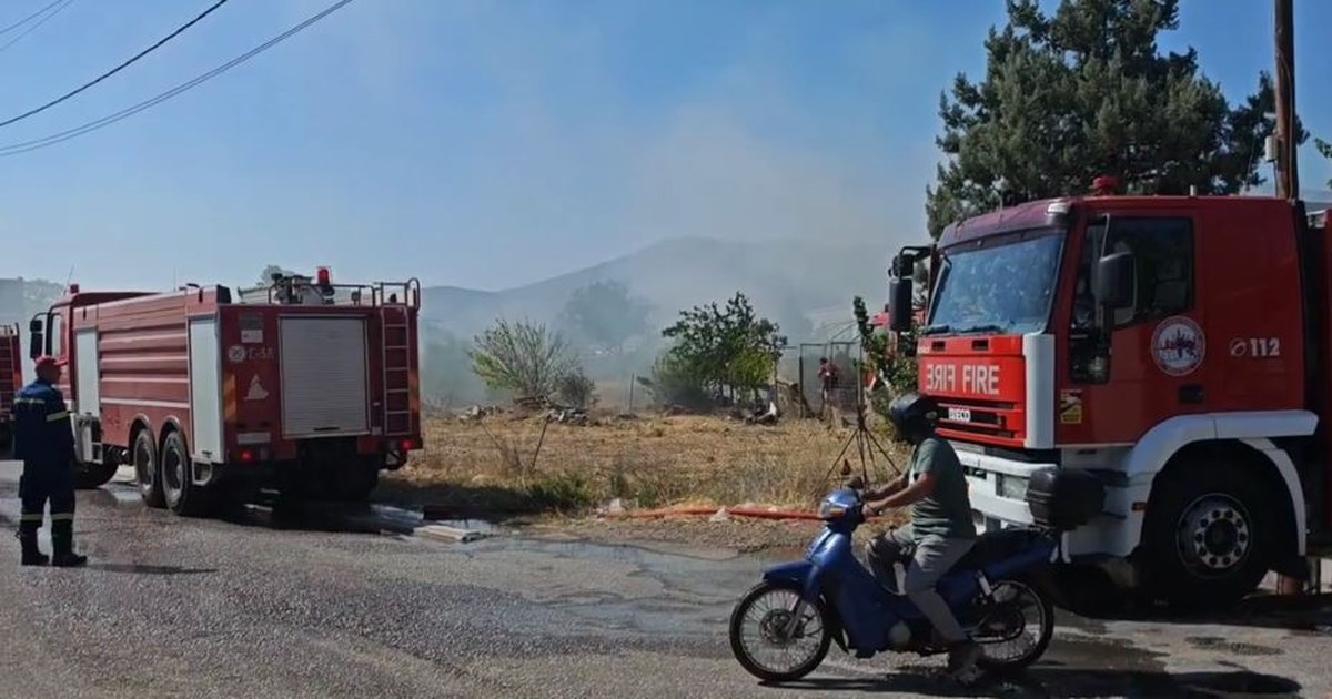 Μενίδι: Φωτιά σε εργοστάσιο με παλέτες - Μήνυμα 112 για επικίνδυνους καπνούς - Διακοπή κυκλοφορίας στην Τατοΐου [βίντεο] - εικόνα 5