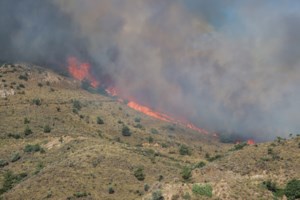 Κλείνει ο Λυκαβηττός από τις 12 τα μεσάνυχτα: Σε επιφυλακή ο Δήμος Αθηναίων λόγω πολύ υψηλού κινδύνου πυρκαγιάς