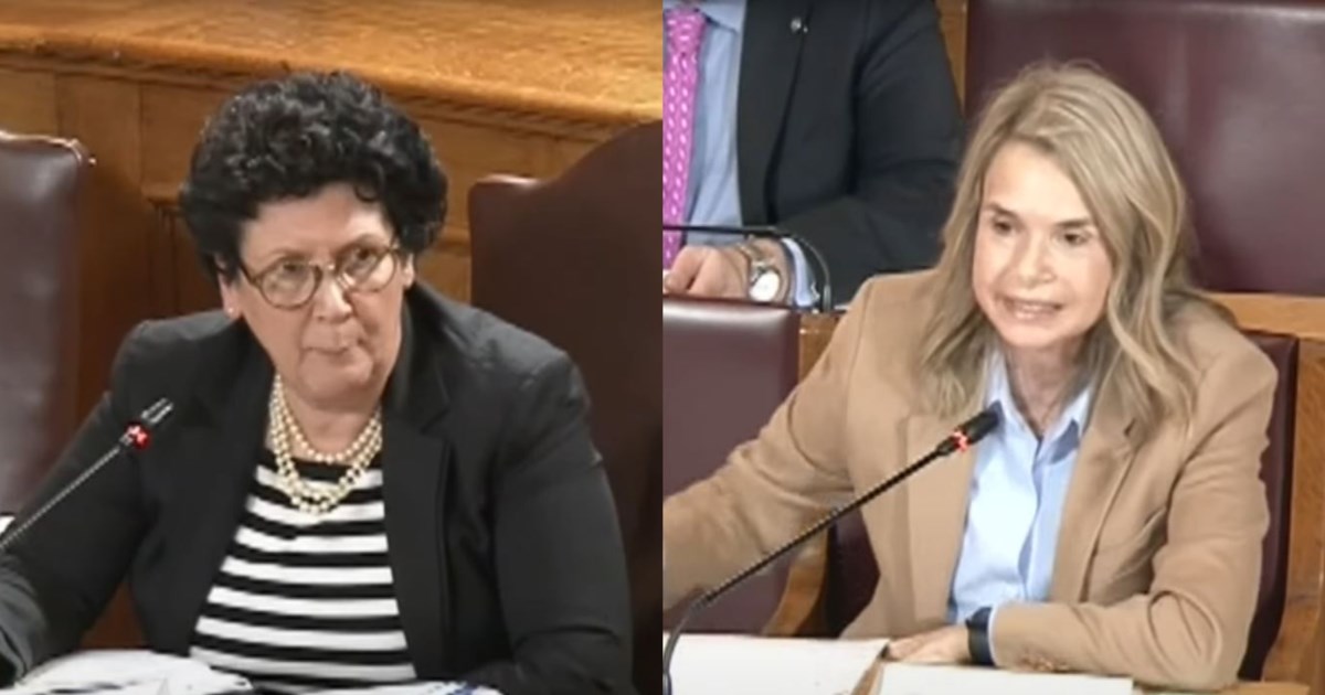 Πηγές ΠΑΣΟΚ: "Η κ. Χαλικιά  επιχείρησε να αθωώσει σχεδόν όλους τους πρωταγωνιστές του σκανδάλου του ΟΠΕΚΕΠΕ" - εικόνα 2