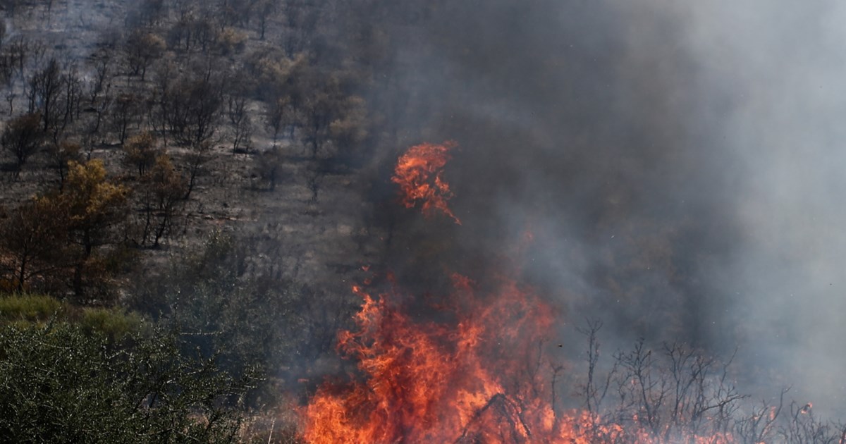 Φωτιά στη Ριτσώνα της Εύβοιας - Επιχειρούν ισχυρές δυνάμεις