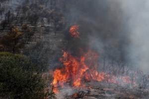 Φωτιά στη Ριτσώνα της Εύβοιας - Επιχειρούν ισχυρές δυνάμεις